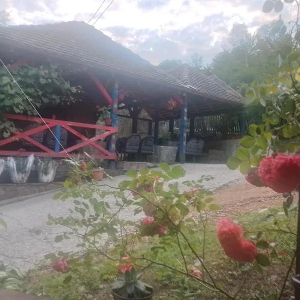Gvozdena Voda-Viline Vode, hotel v destinaci Zeljići
