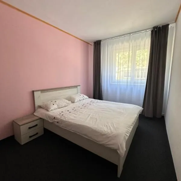 Apartament Pruneanu Central, hotel v destinaci Campia Turzii