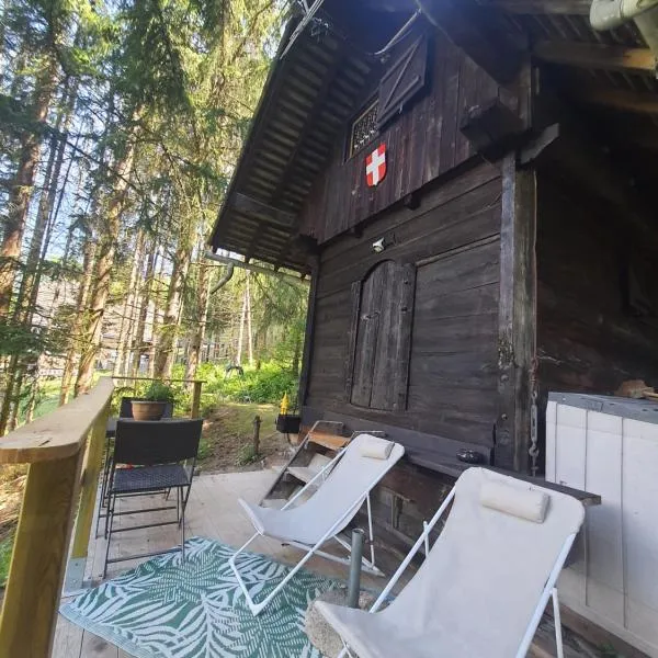 Chalet savoyard "le Sapinet", hotel v destinaci Saint-Martin-sur-le-Chambre