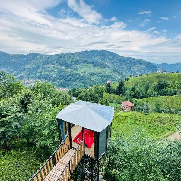 Organic village bungalow, hotel di Ayder Yaylasi