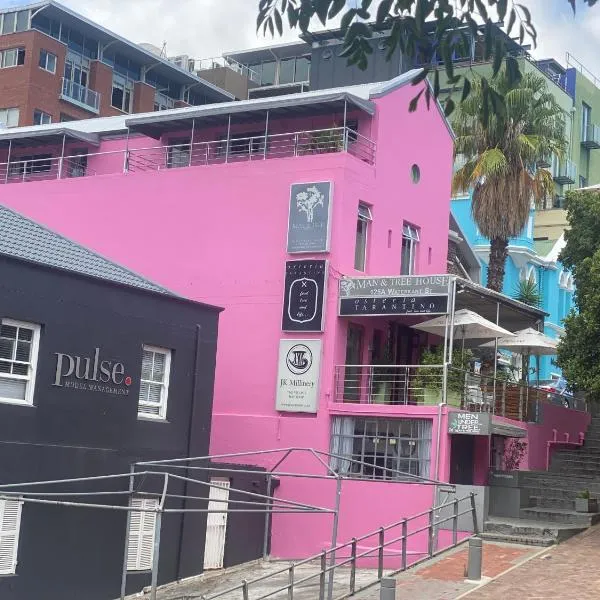 Man And Tree House - De Waterkant, hotel in Kaapstad