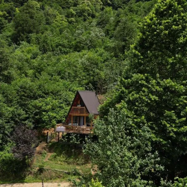 Thoma's hut-თომას ქოხი โรงแรมในบาทูมิ