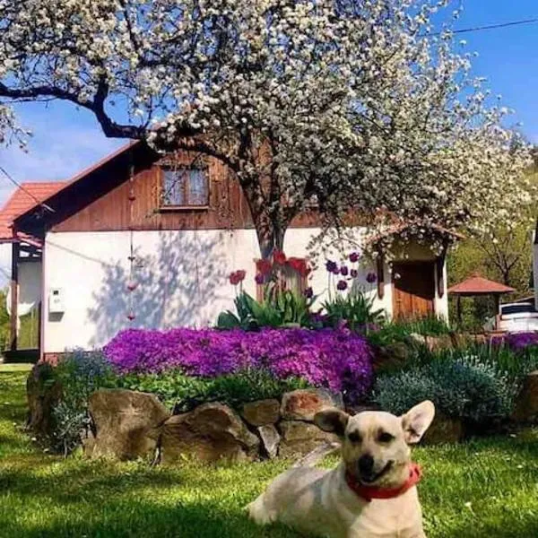 Kaczmarówka, hotel en Mchawa