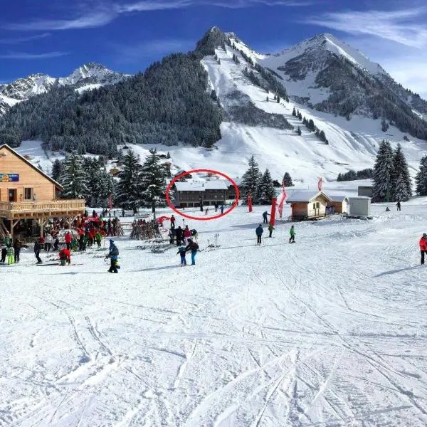 Le Nid Alpin, hotel in Les Mosses