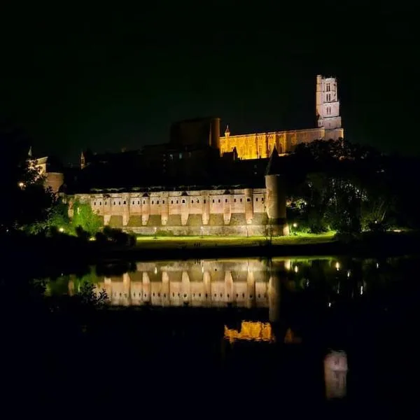 RINALDI 57 Maison typique du Pont Vieux, hotel in Albi