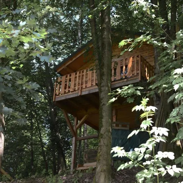 Treehouse Velké Losiny, hotel ve Velkých Losinách