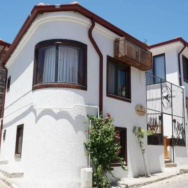 Pikan Ephesus, hotel v destinaci Selcuk