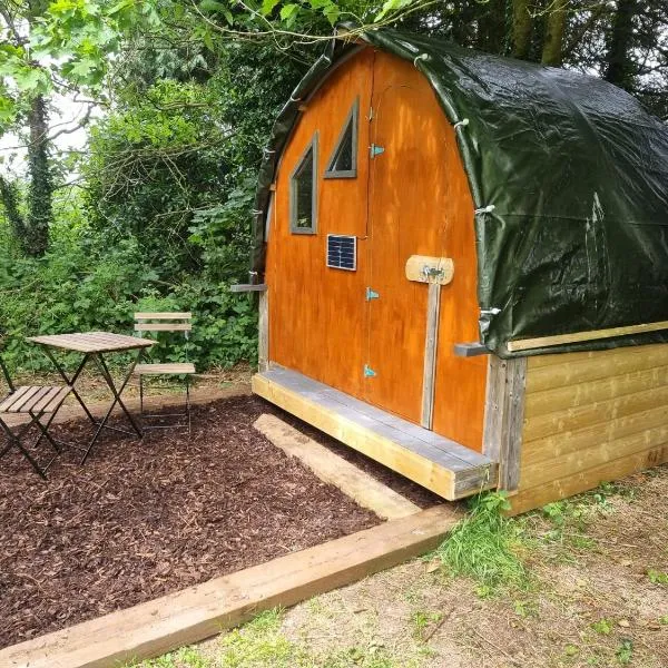 The Cozy, hótel í Killeagh