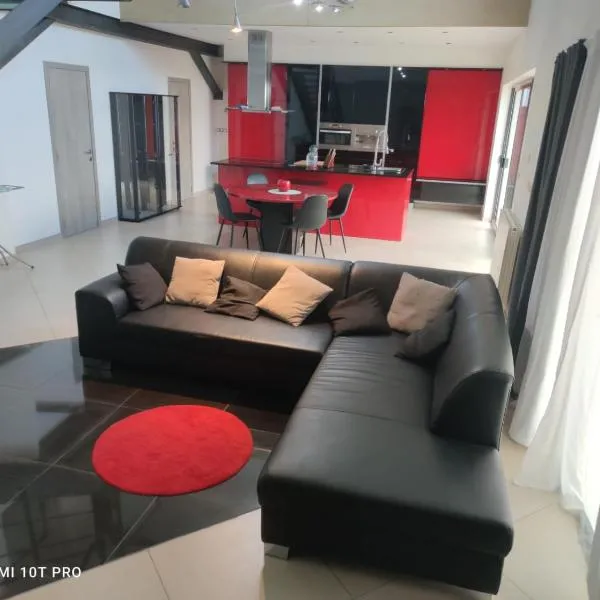 8 chambres privées dans une villa de partagée de 350m2, hotel i Charleroi