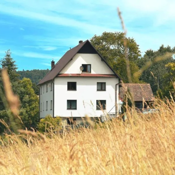 Agroturystyka ''Na Polanie'' – hotel w mieście Rajcza