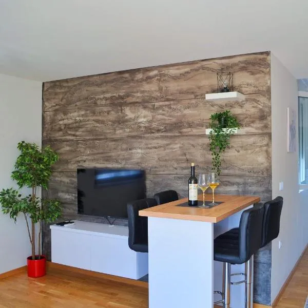 Penthaus apartman NOVAK, hotel v destinaci Vrnjci