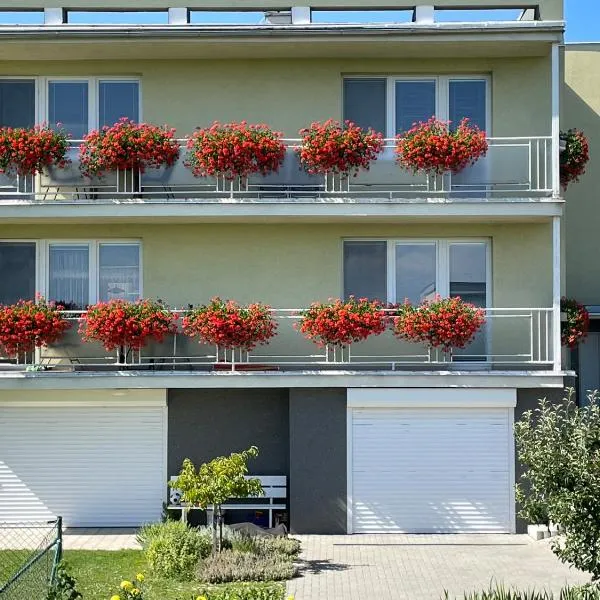 Apartmán Krásná vyhlídka, hotel v destinaci Dolní Benešov