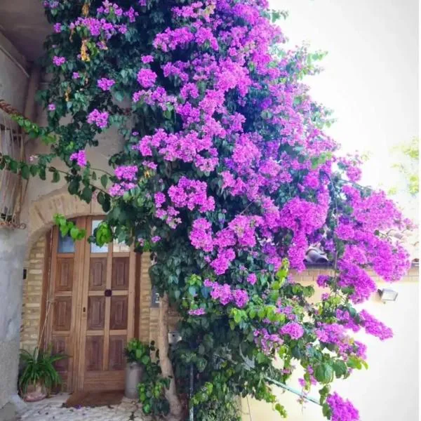 La Cantina: cosy stylish vaults, hotel in Villalfonsina