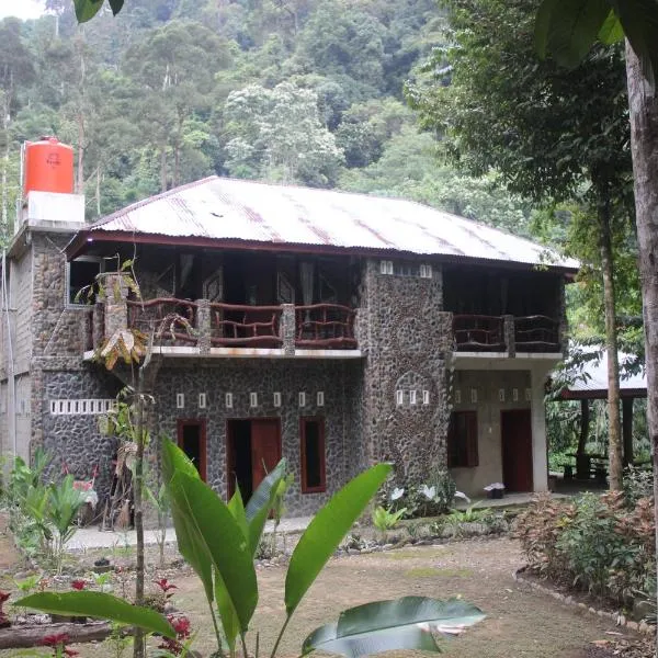 Rinte Green Village & Bukit Lawang Jungle Trekking, hotel in Bukit Lawang