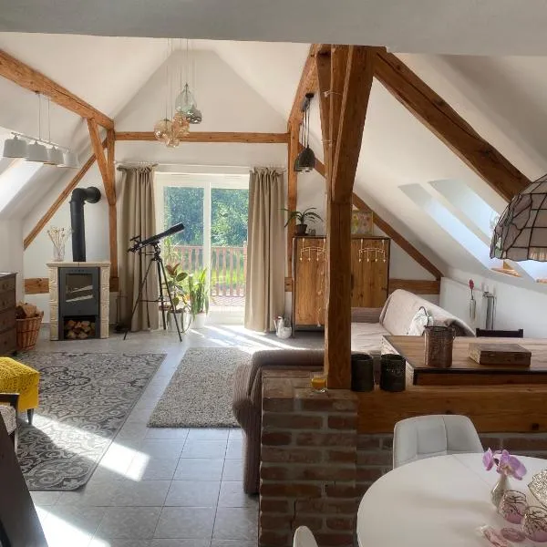 Podkrovní studio apartment pro 1-5 osob, hotel v destinaci Knínice