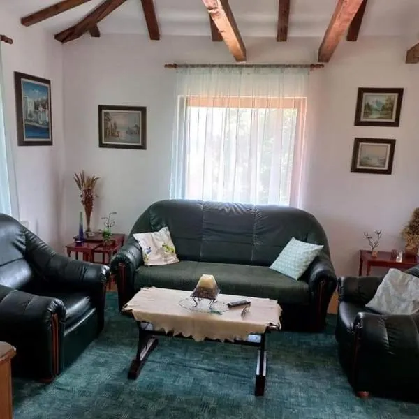 Zoja Apartman Vlasinsko Jezero, hotel v destinaci Šerdanova Mahala