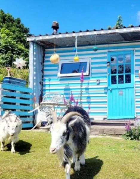 Treguth Glamping Unique Experience - Themed Huts, hotel v destinaci Saint Day