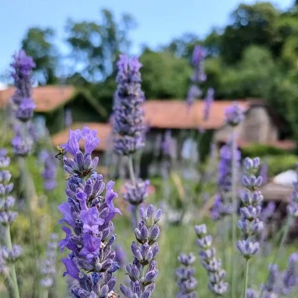 B&B Il Gattonero, viešbutis mieste Arcumeggia