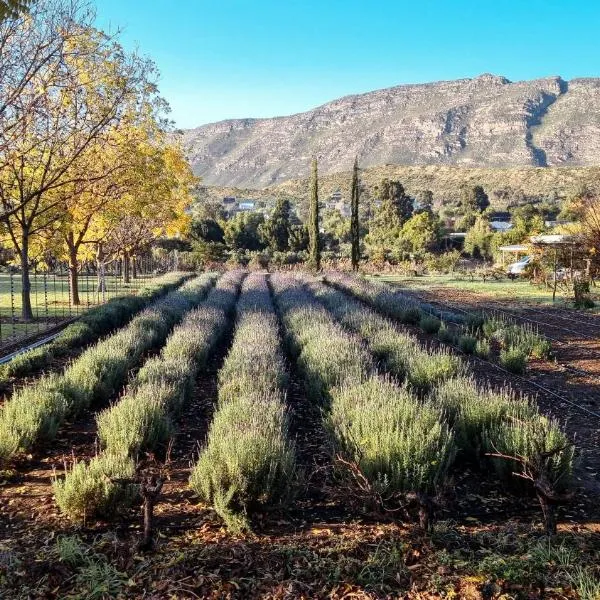 Lavendale on Laing, hotel in Barrydale