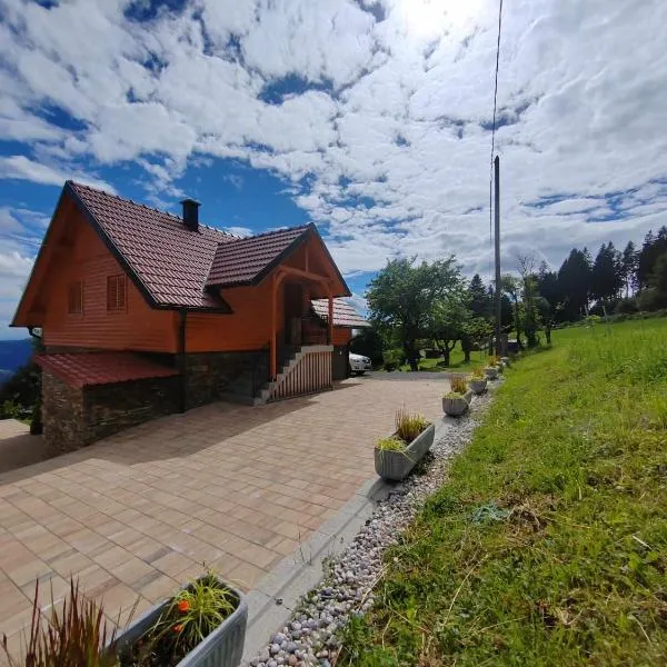 Apartment Boris Sveta Planina, hotel in Knezdol