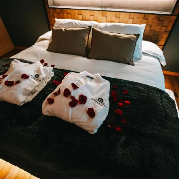 La maison d Aurore loft et spa privatif, hotel en Couvin