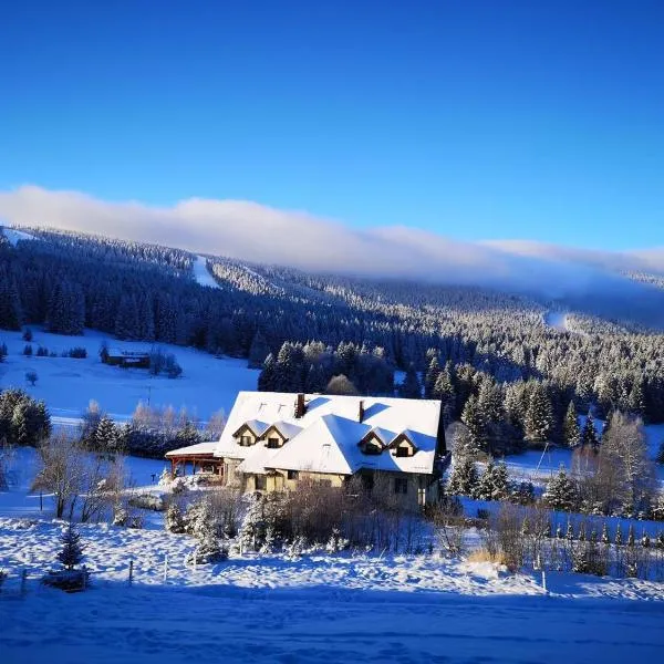 Wichrowe Wzgorze, hotel en Stronie Śląskie