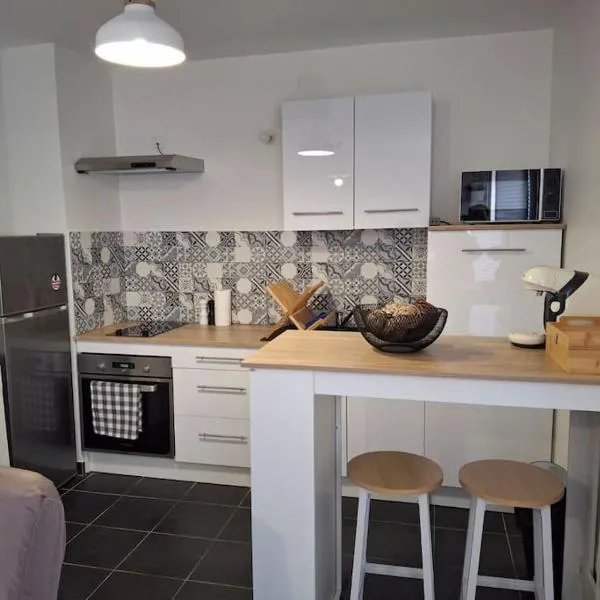 T1 meuble avec piscine commune, hotel en Meyzieu