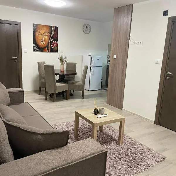 Apartment Andrea, hotel en Novi Sad