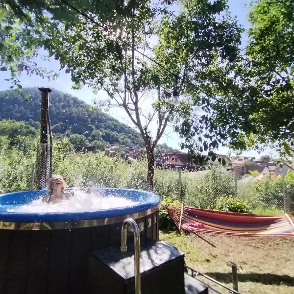 Casa Bunicului, hotel a Poplaca