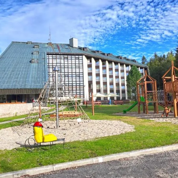 Wellness Hotel Svornost, hotel v destinaci Harrachov