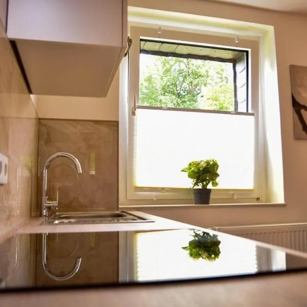 Wohnung mit Wohlfühlcharakter, hotel in Idar-Oberstein