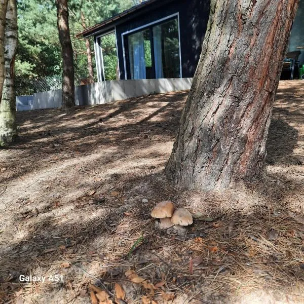 Domek LEŚNICZÓWKA Gorzewo, מלון בGorzewo
