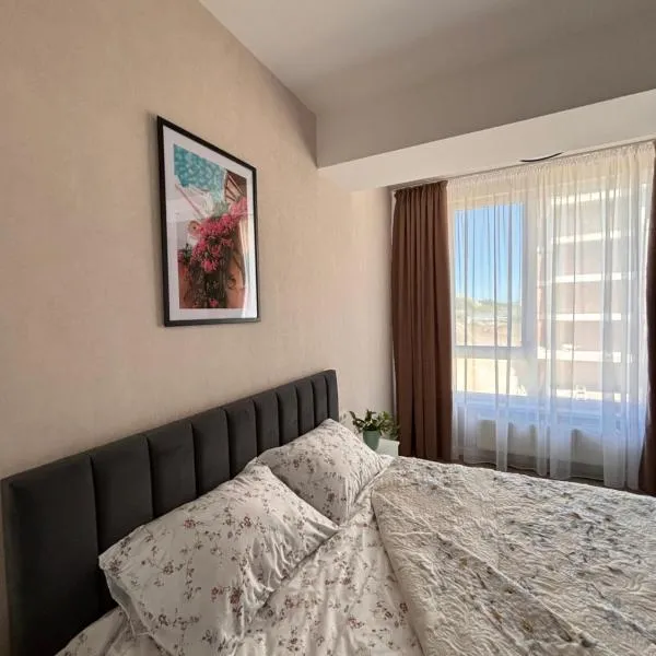 Milescu Residence 2, hotel in Chişinău