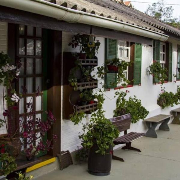 Casa Violeta - Foto 2