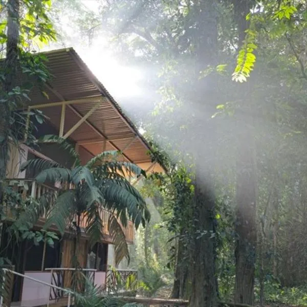 Cool Waters Jungle Hostel, hotel v destinaci Uvita