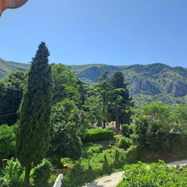 N&B Apartment Kotor, hotel u Kotoru