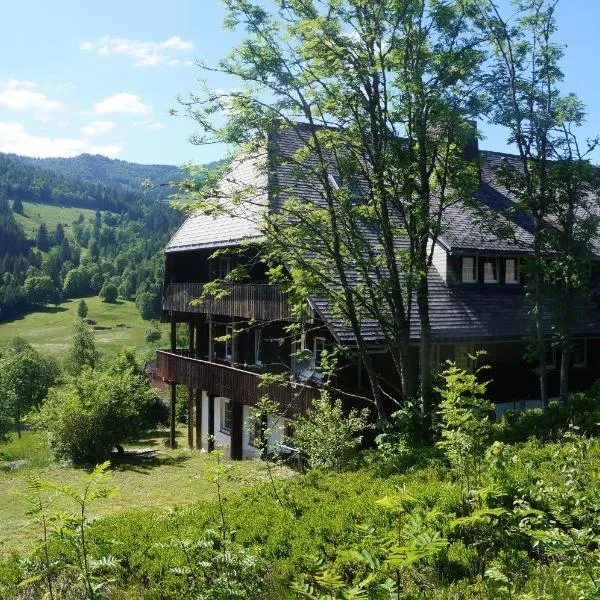Familien-Sportappartements Wetzel, hotel v destinaci Menzenschwand