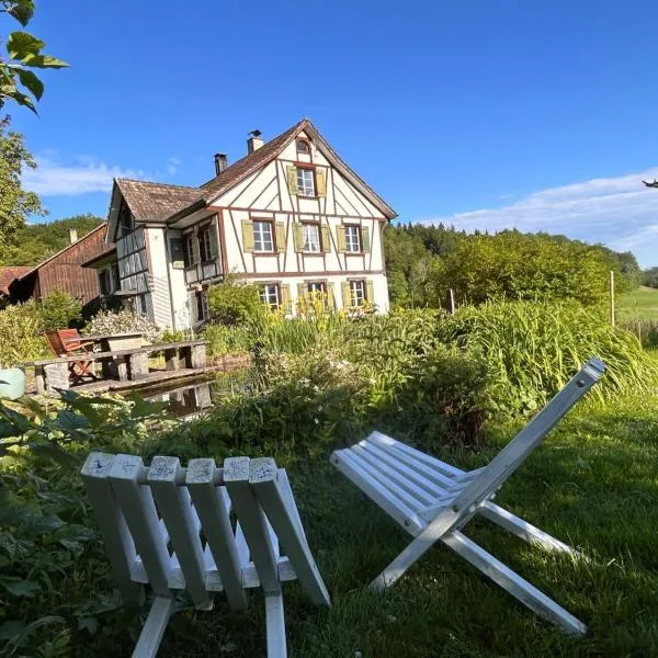 B&B Bad Tiefenau, HAUS AN DER QUELLE, hotel a Elgg