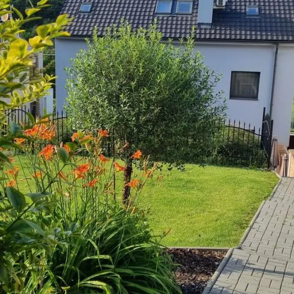 Apartmány Moravia, hotel v Milovicích