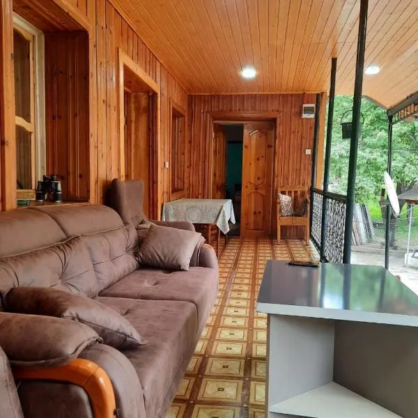 Guesthouse "MEGI", hotel in Mestia