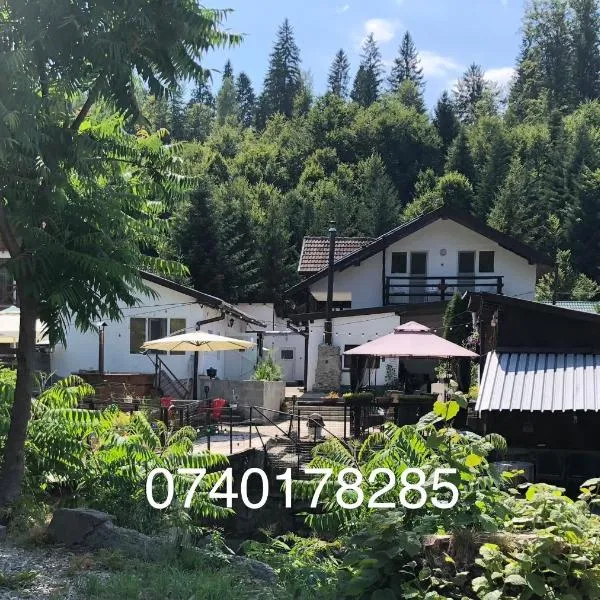 Podul De Brazi - Fir Bridge, hotel v destinaci Cîrţişoara