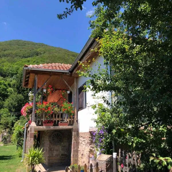 Stara planina, smestaj Ćirković, hotell sihtkohas Pirot