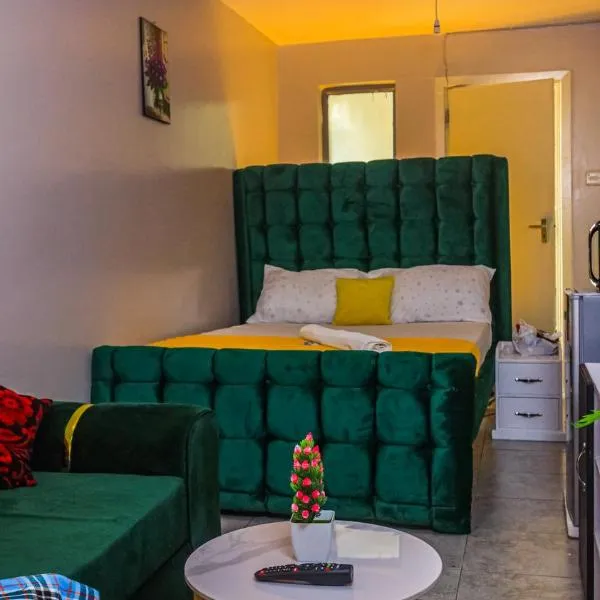 DefiniteHomes2 - Fully furnished studio apartment with a rooftop restaurant near JKIA Airport, SGR Terminus, Downtown Nairobi, hotel in Nairobi