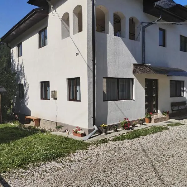Apartament la casa pe Transrarau, hotel v destinaci Pojorîta