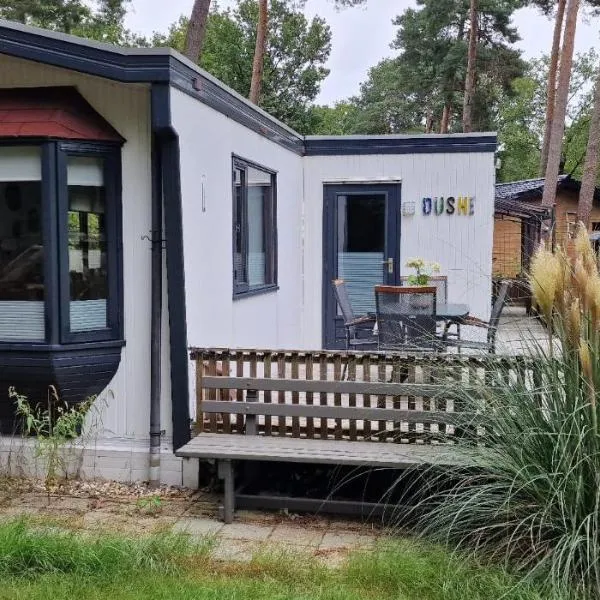 DUSHI27 Chalet met zwembad op familiecamping De Vossenburcht No Workers allowed, hotel v destinaci IJhorst
