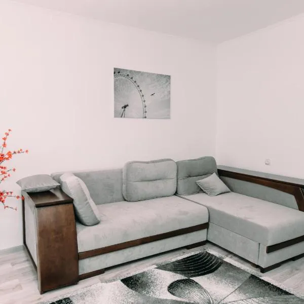 Apartments in Uzhgorod, hotel v Užhorodu