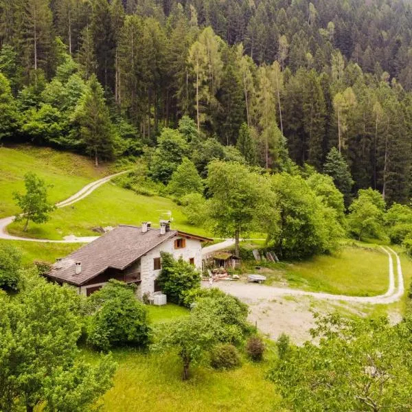 Luxury Chalet Dolomiti-Campiglio-Trentino, hotel i Porte di Rendena