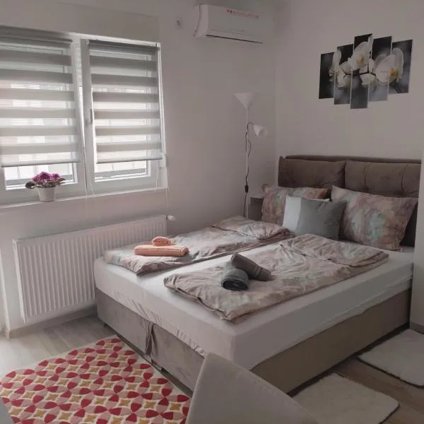 Apartman Nana, hotel in Banja Koviljača