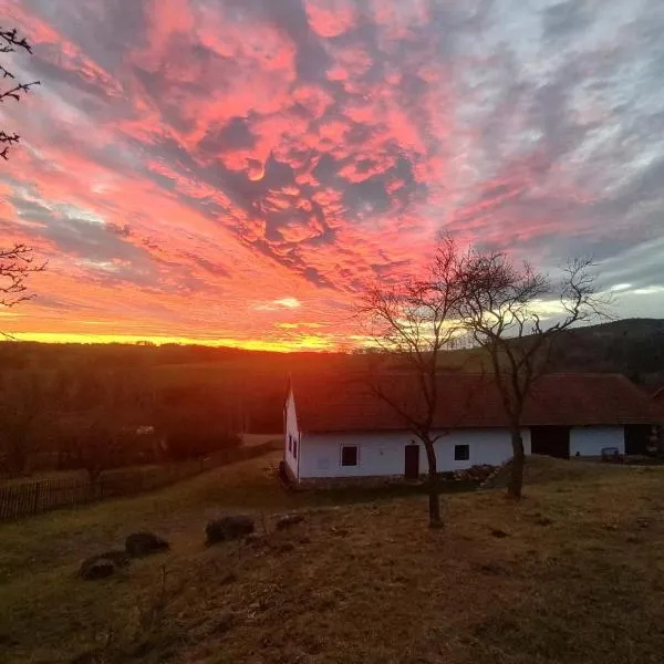 Country house - Slapy/Pazderny, hotel in Žďár