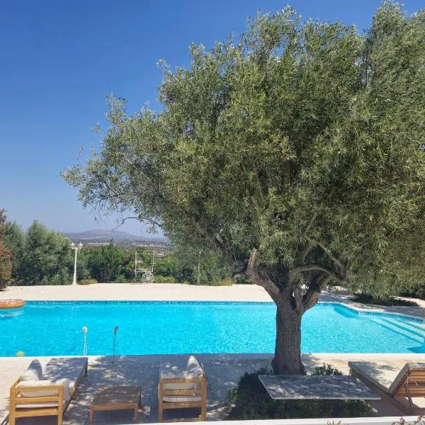 TopHill Gardens House - Shared Pool - Jacuzzi - 24hrs check in - 10m from Airport, hotel v destinaci Koropíon